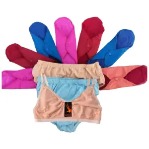 12 পিস সুপার প্রিমিয়াম প্যাড 4 পিস প্যান্টি 1 টি ব্রা